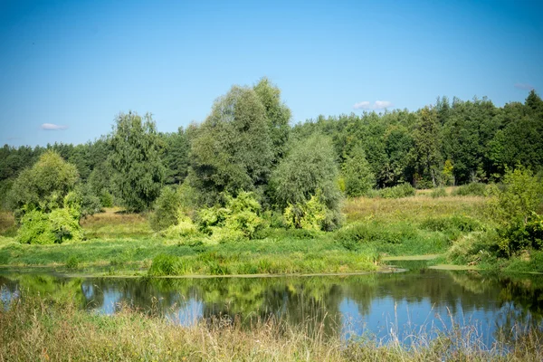 Floresta verde e rio — Fotografia de Stock