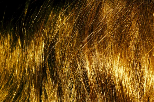 Textura de cabelo loiro — Fotografia de Stock