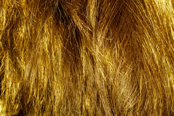 Blond hårtextur — Stockfoto