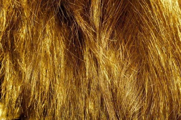 Textura de cabelo loiro — Fotografia de Stock