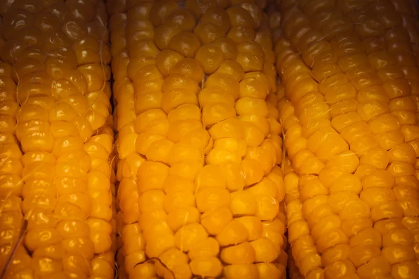 Kukorica cob makró — Stock Fotó