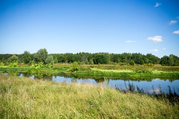 Floresta verde e rio — Fotografia de Stock