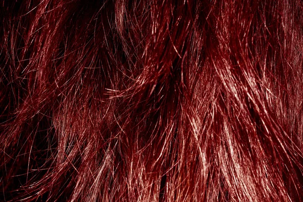 Textura de cabelo vermelho — Fotografia de Stock