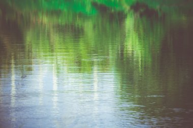 Nehir Retro ağaçların yansıması