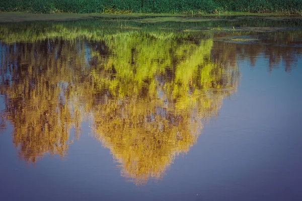 Réflexion des arbres dans la rivière Rétro — Photo