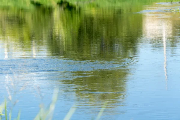 Trees Reflection in the River — Stock Photo, Image