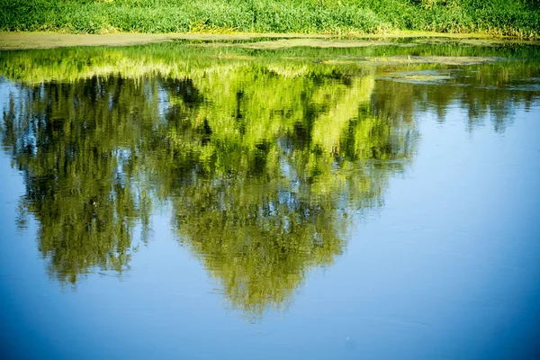 Pohon refleksi di sungai — Stok Foto