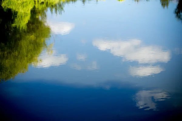 Reflet des arbres dans la rivière — Photo