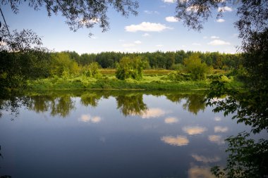 Yeşil orman ve nehir