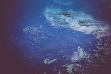 Deniz yosunu ile nehir yüzey