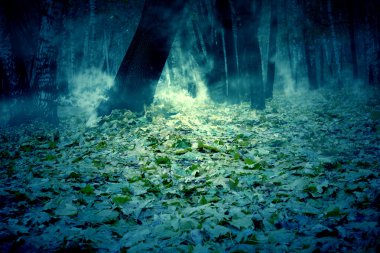 Ağaçlarda Sonbahar Park Retro