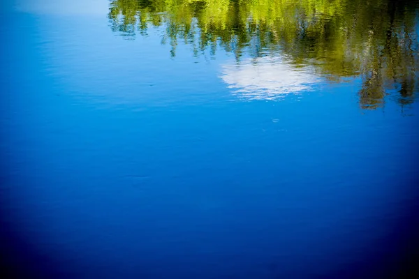 Bäume spiegeln sich im Fluss — Stockfoto