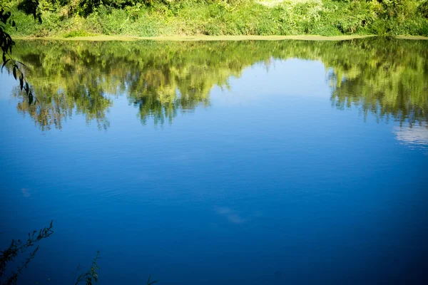 Pohon refleksi di sungai — Stok Foto