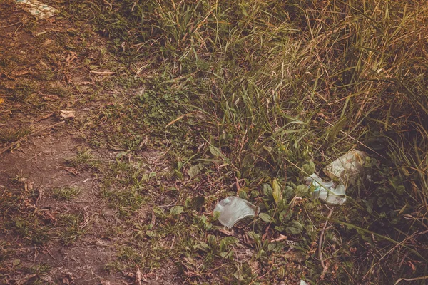 Déchets sur l'herbe — Photo