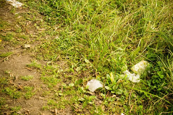 Afval op het gras — Stockfoto