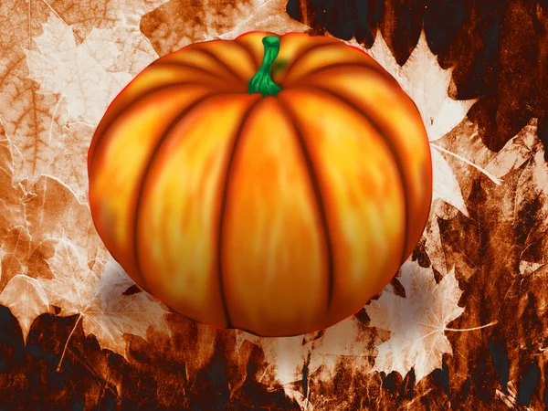 Fondo de calabaza grande — Foto de Stock