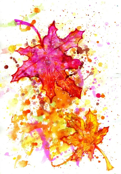 Maple Leaf Painting — Stock Photo, Image