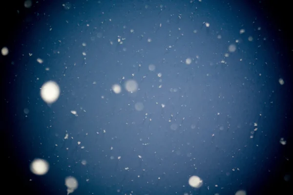 Première tempête de neige — Photo