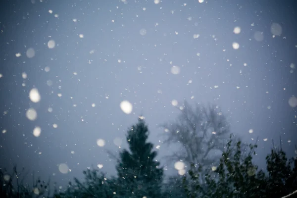 First Snow Storm — Stock Photo, Image