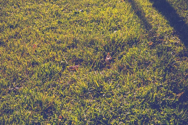緑の草のレトロの背景 — ストック写真