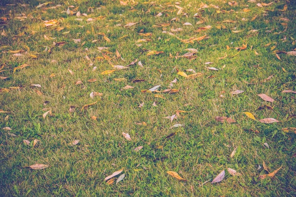 Bakgrund av ett grönt gräs Retro — Stockfoto