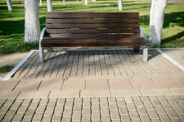 Bench egy parkban — Stock Fotó