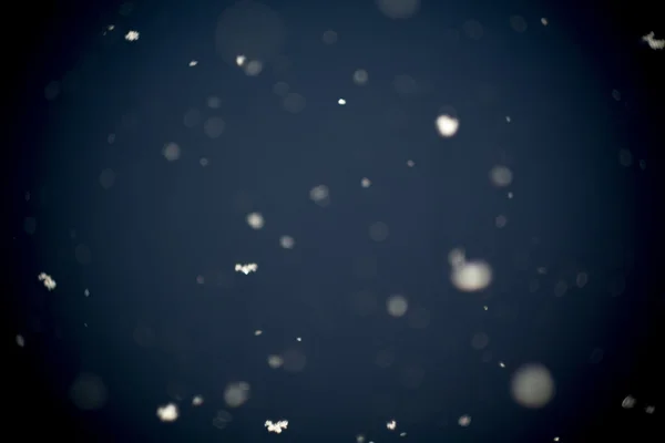 最初の雪の嵐 — ストック写真