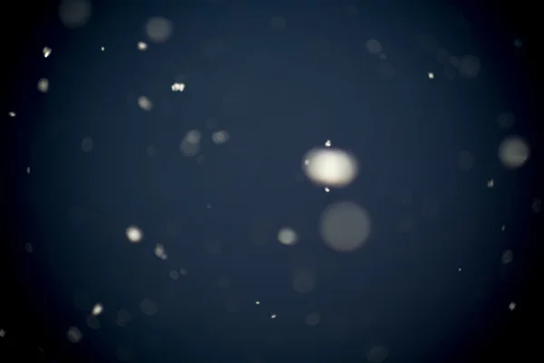 Перший снігова буря — стокове фото