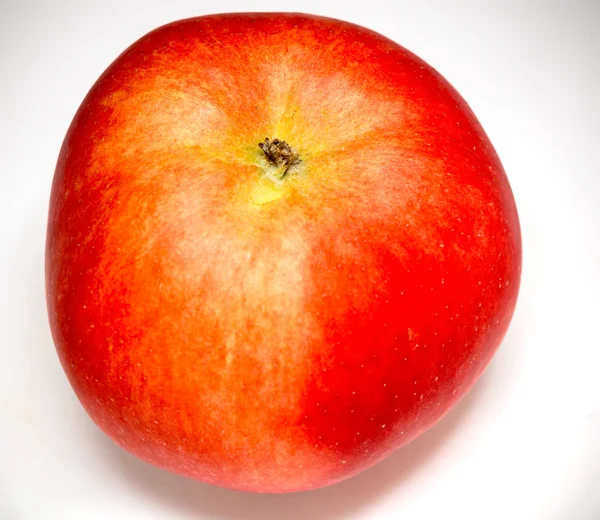 Macro mela rossa — Foto Stock
