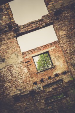 Terk edilmiş evde Retro