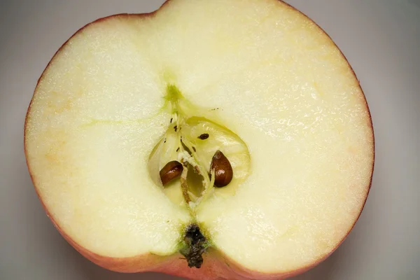 Halb roter Apfel Makro — Stockfoto