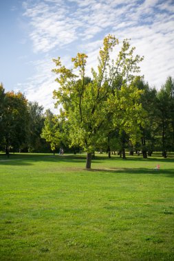 güneşli şehir parkı