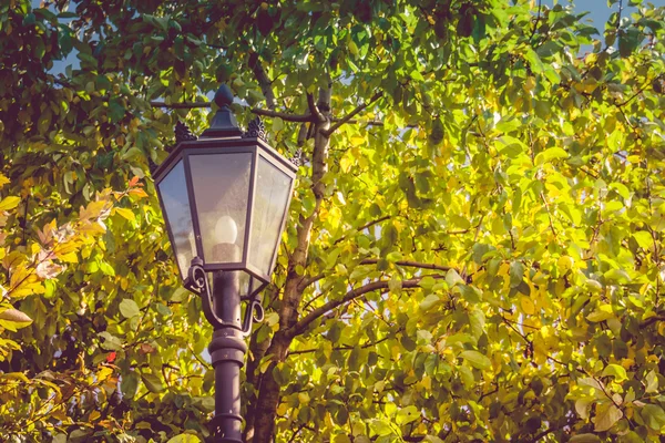 Lâmpada no parque — Fotografia de Stock