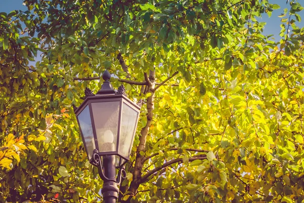 Lampe im Park — Stockfoto