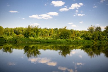 Yeşil orman ve nehir