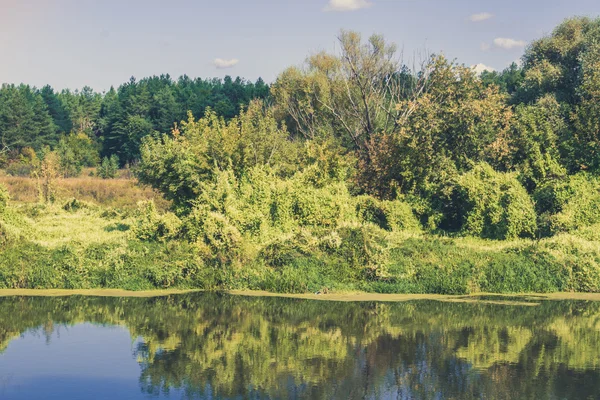 Floresta Verde e Rio Retro — Fotografia de Stock