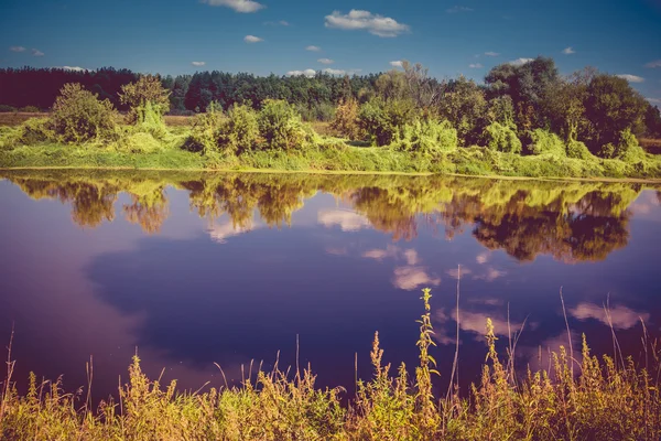 stock image  Green Forest and River Retro