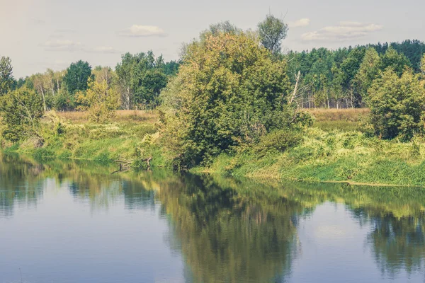 Floresta Verde e Rio Retro — Fotografia de Stock