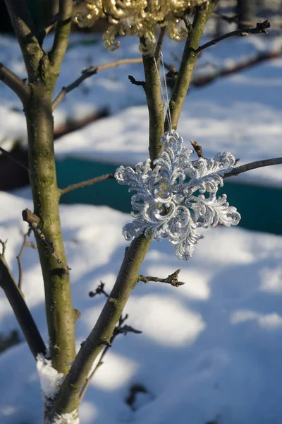 在雪上的银雪花 — 图库照片