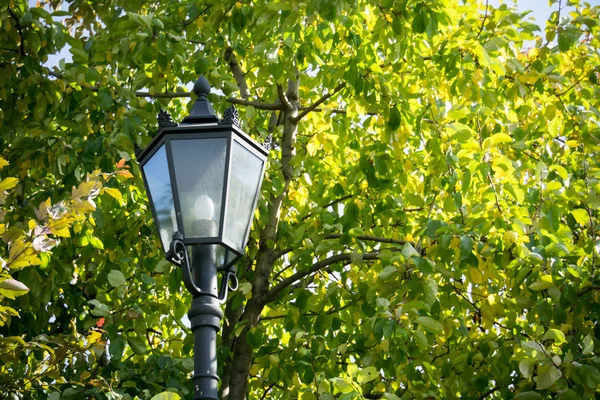 Lampa i parken — Stockfoto