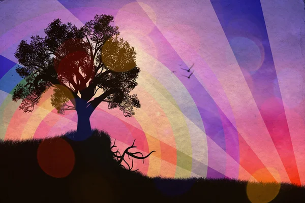 Самотнє дерево на заході сонця — стокове фото