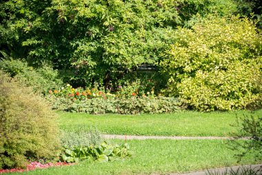 güneşli şehir parkı