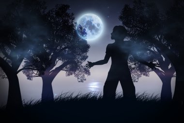 Yalnız gece manzarası