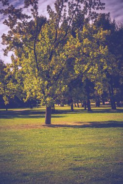 Güneşli Şehir Parkı Retro