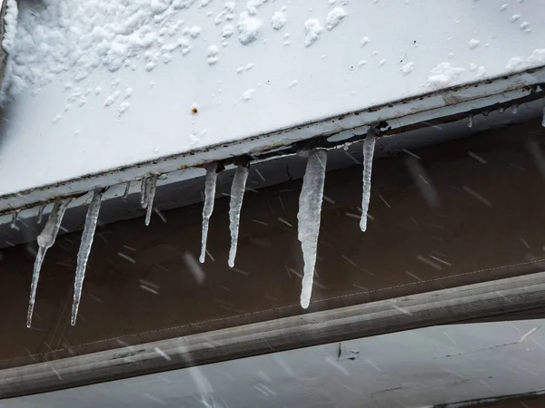 Estalactitas Hielo Colgando Una Cornisa Durante Una Tormenta Nieve — Foto de Stock