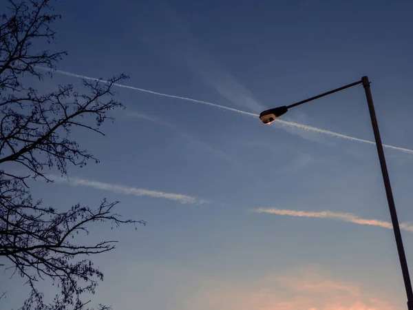 Cielo Con Scie Chimiche Tramonto Con Sagome Albero Lampione Contro — Foto Stock