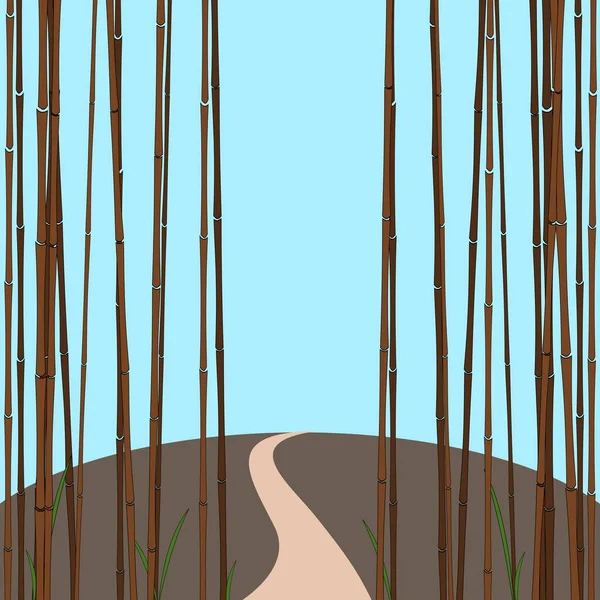 Bamboo Forrest Asian Landscape Royalty Free Stock Images