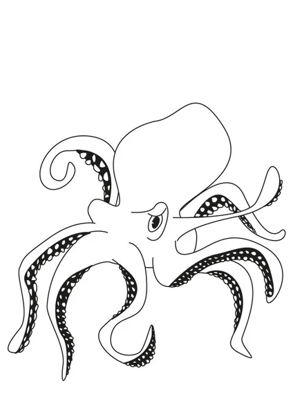Chobotnice Plavající Moři — Stock fotografie