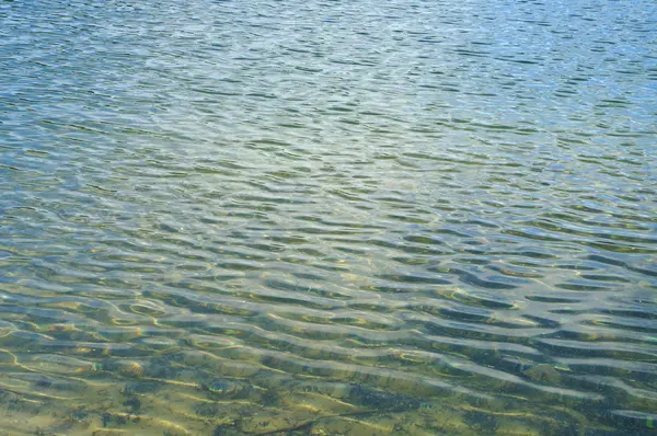 Teich... — Fotografia de Stock