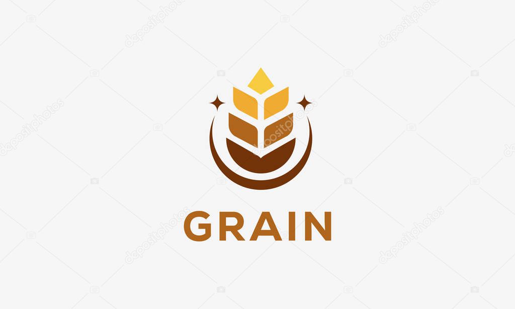 Luxury Grain wheat logo concept, Agriculture wheat Logo Template vector icon